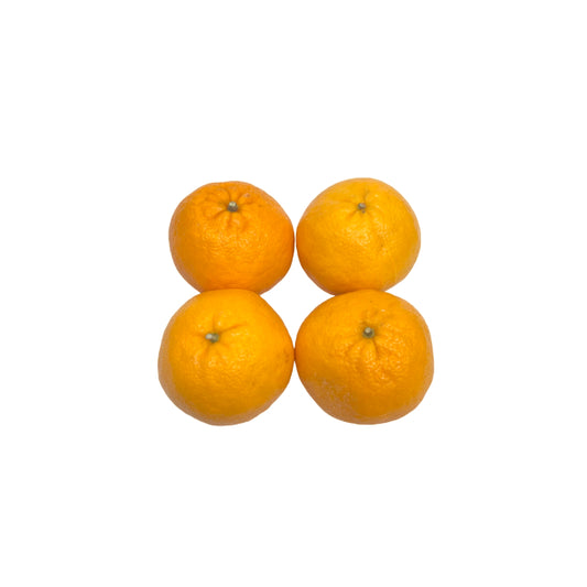 Clementine - Pack of 4