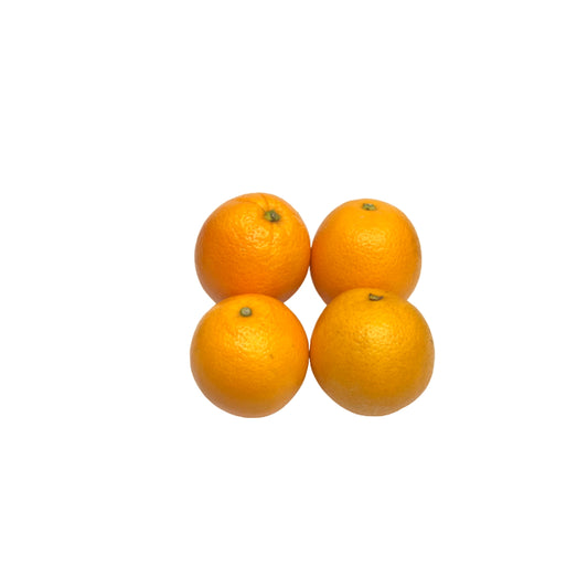 Orange Regular - Pack of 4