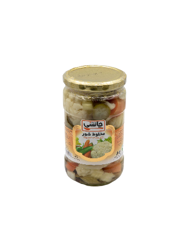 Chashni Salted Pickled 670 gr