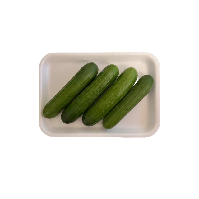 Cucumber Mini- Pck of 4