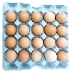 Double Yolk Eggs 20 PCs